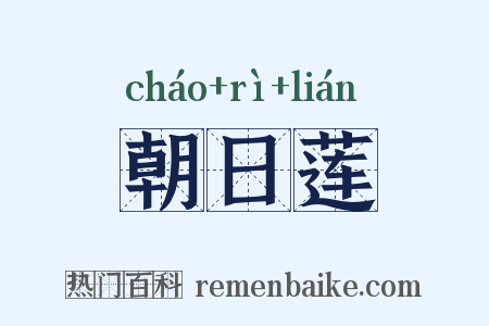 朝日莲是什么意思的图片